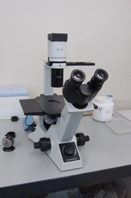 倒立型ルーチン顕微鏡 オリンパス
