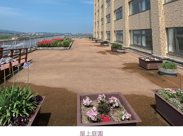 屋上庭園