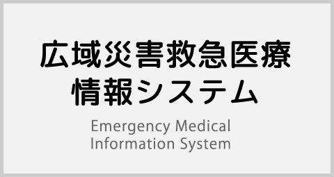 広域災害救急医療情報システム