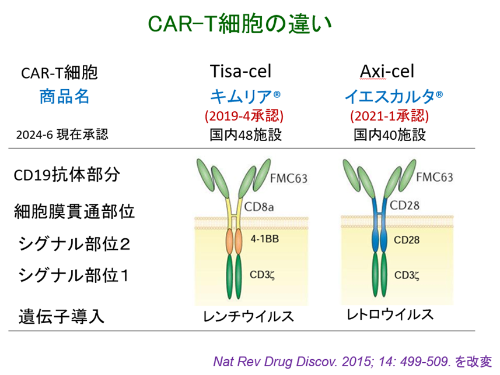 図1_car-t細胞の違い