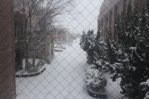 当日は記録的大雪