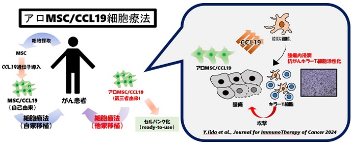 免疫学講座 飯田 雄一 助教の【新規細胞免疫療法によるがん治療を