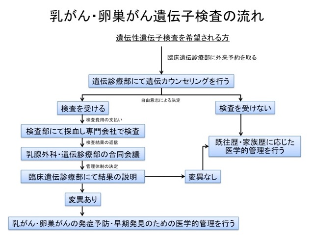 乳がん・卵巣がん遺伝子検査の流れ