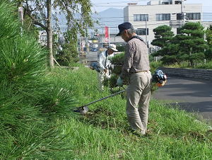 写真