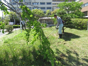 天理教ひのきしん隊_170429_3.jpg