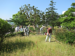 出雲慶人会_20170520_3.jpg