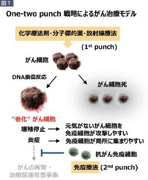 onetwopunch戦略