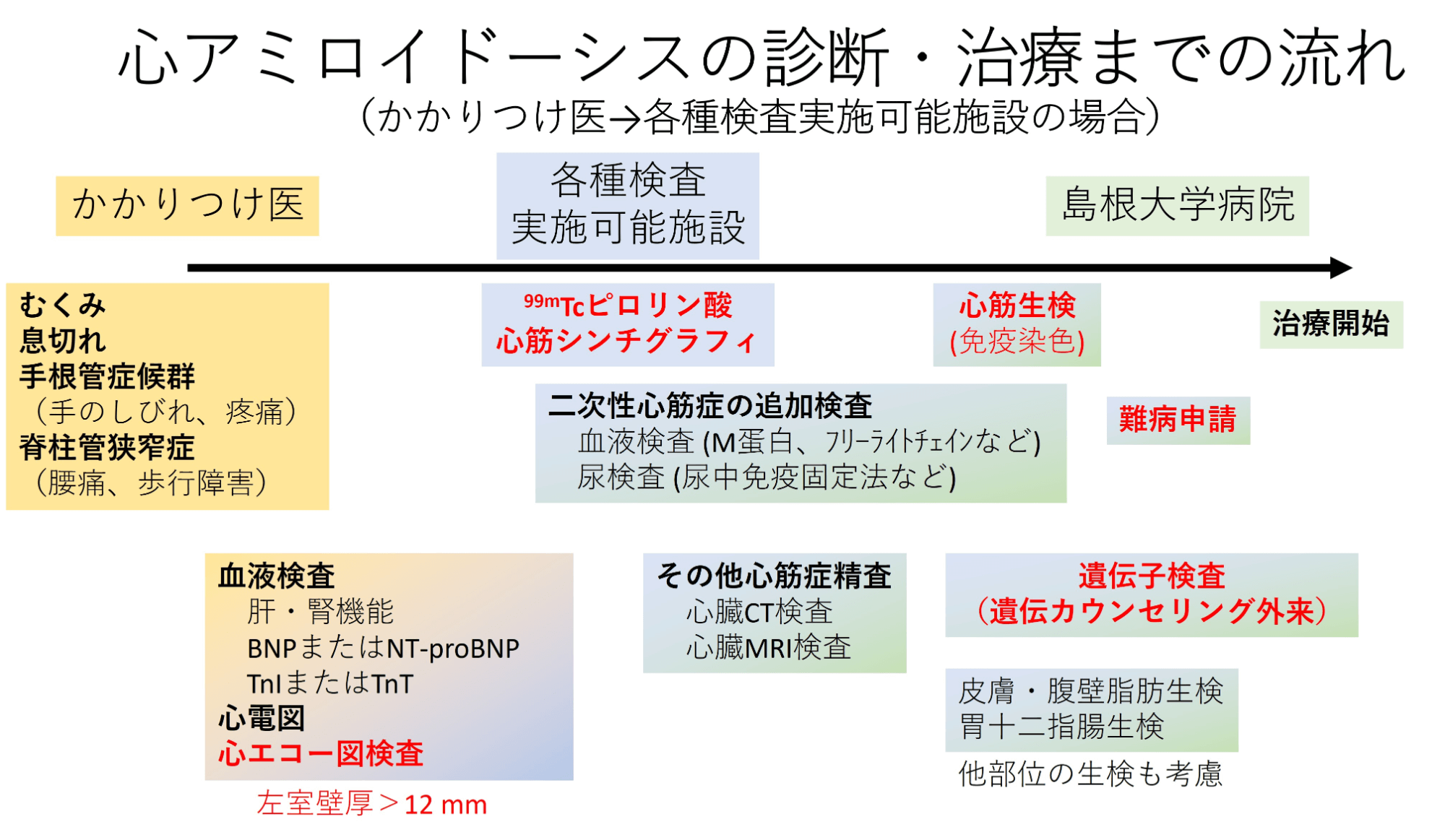 心アミロイドーシス診断フロー