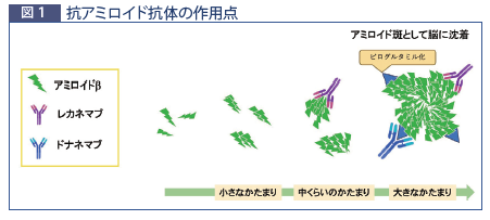 ドラネマブイメージ
