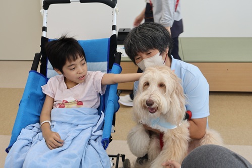 犬と触れ合う様子1
