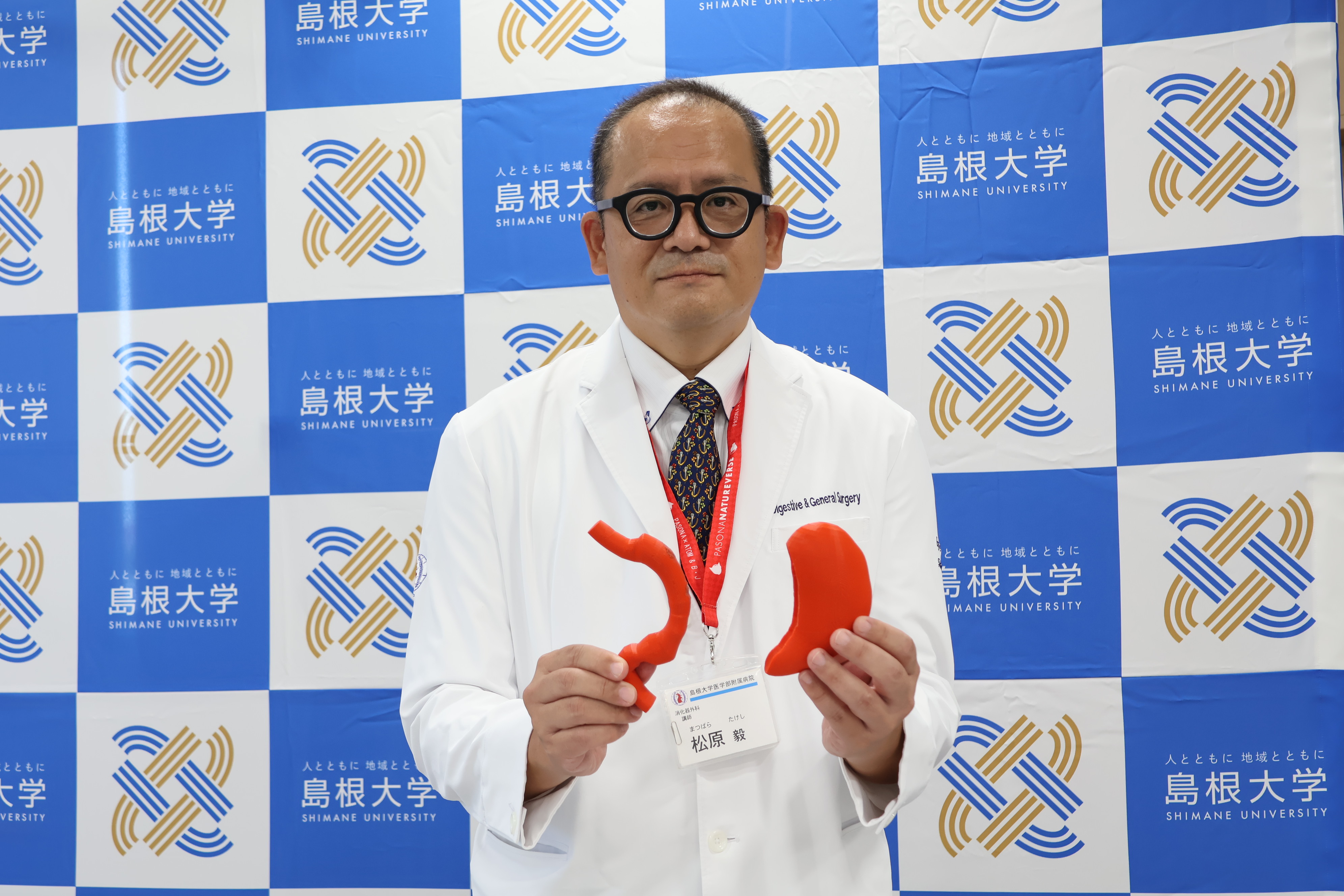 胃の模型