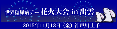 世界糖尿病デー　花火大会　in 出雲