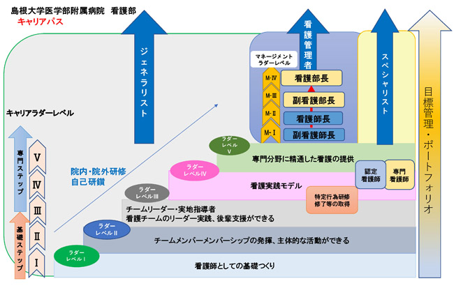 キャリアパス