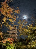 Photo＿Sample