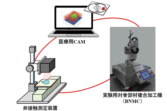 島根大学医学部整形外科学教室