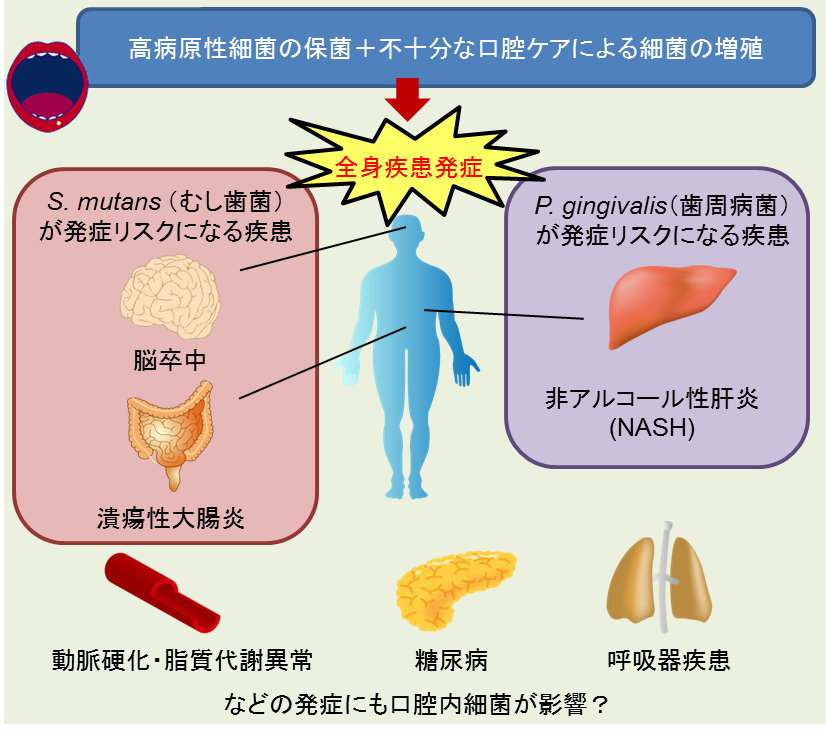 口腔と全身疾患